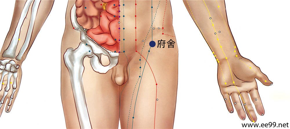 府舍穴位置图