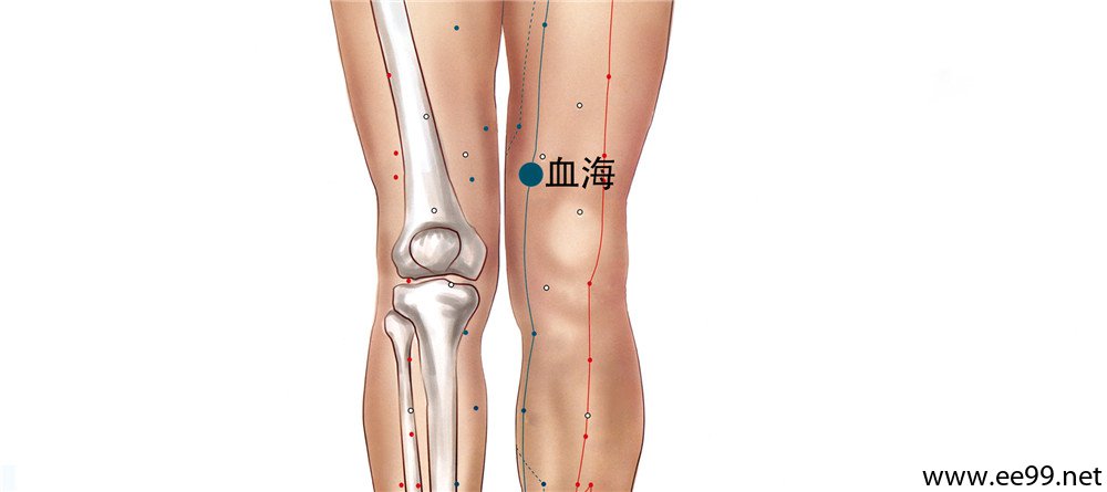 人体血海位置图片图片
