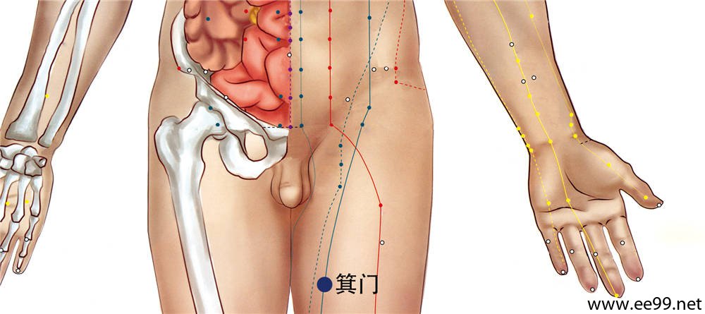箕门穴位置图