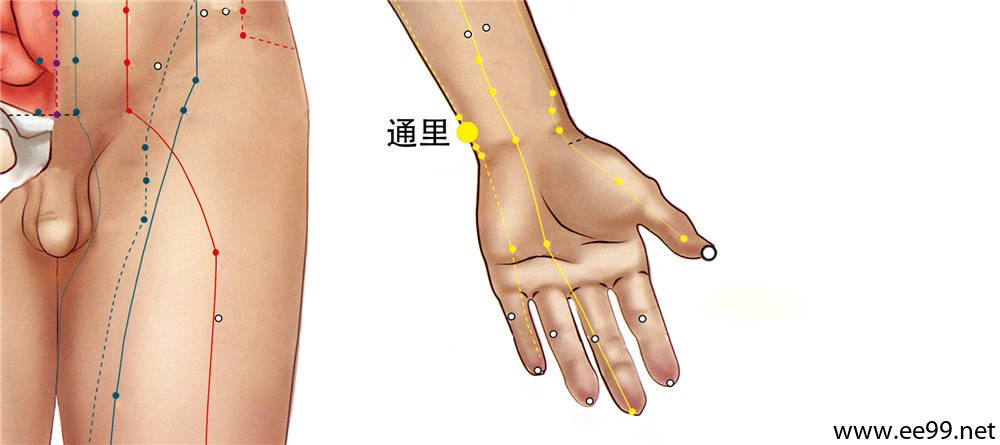通里穴位置图