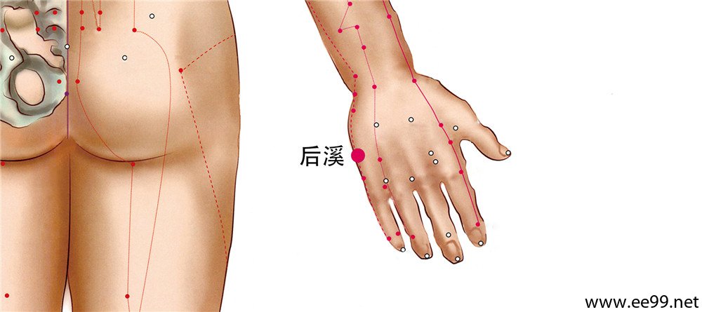 后溪穴位置图