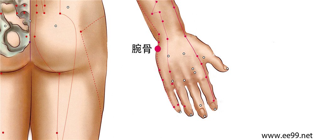 腕骨穴位置图