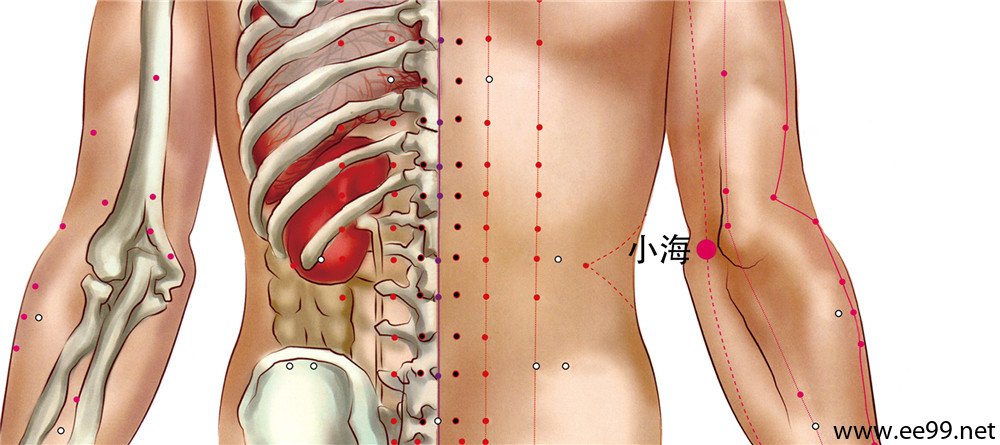 小海穴位置图