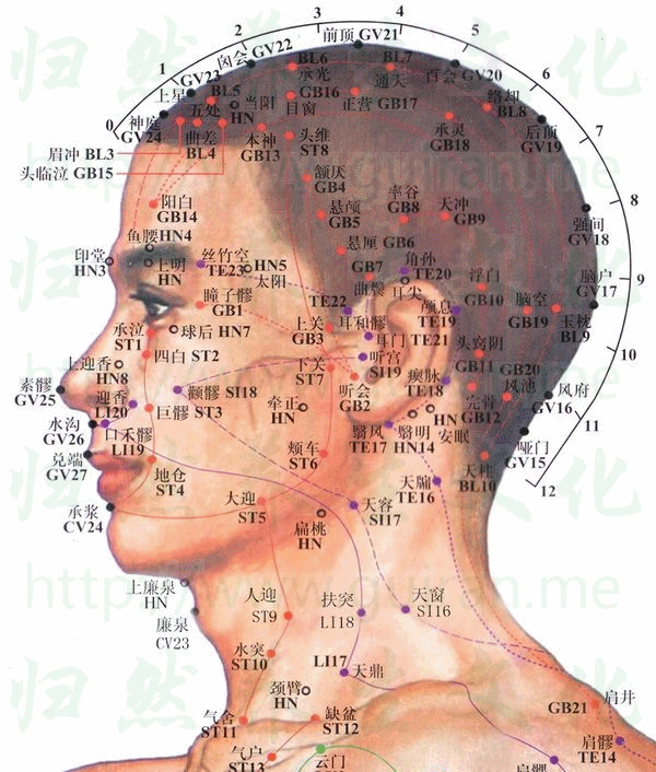 天窗穴位置图