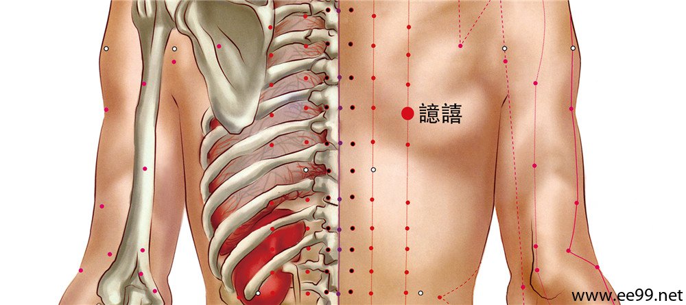 噫嘻穴位置图