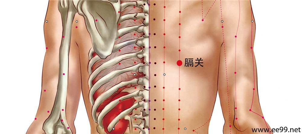 膈关穴位置图