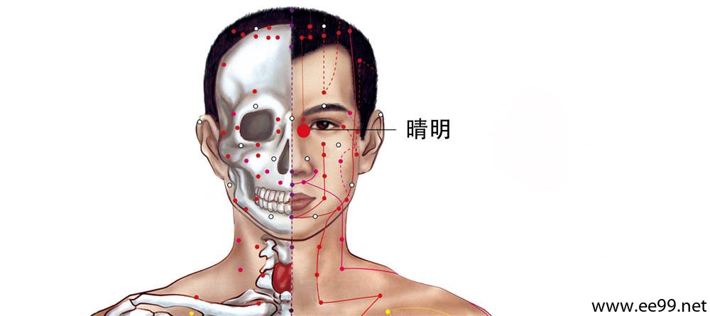 睛明穴位置图