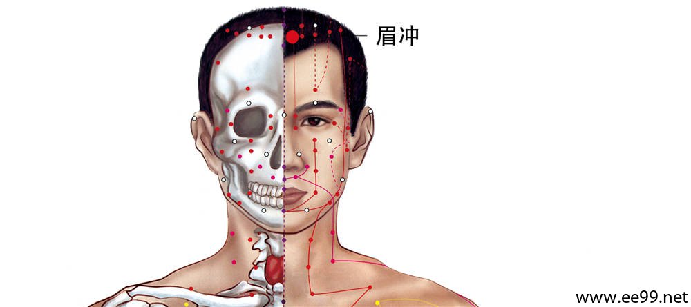 眉冲穴位置图