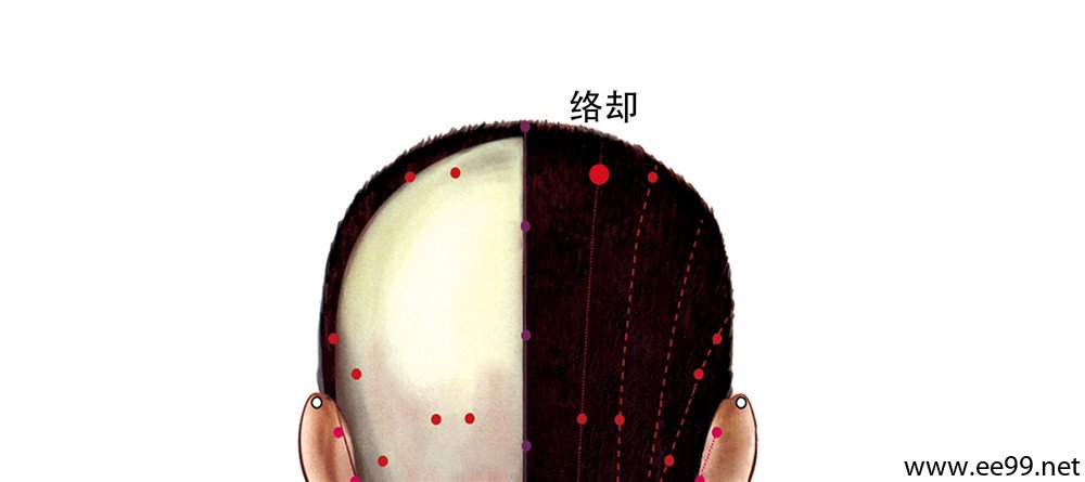 络却穴位置图
