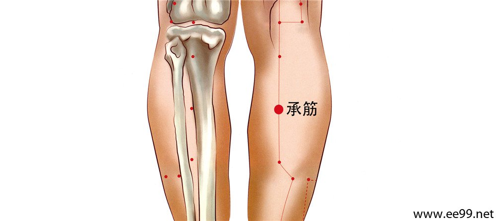 承筋穴位置图