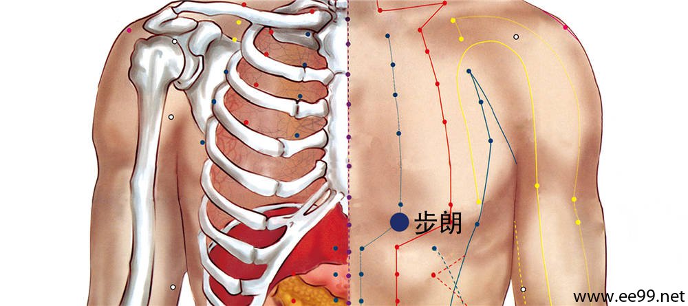 步廊穴位置图