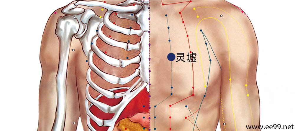 灵墟穴位置图
