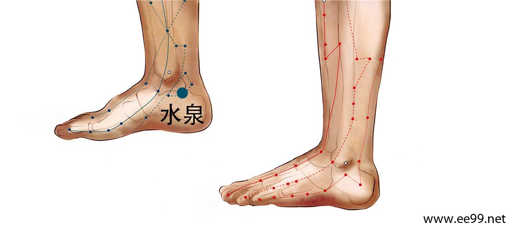 水泉穴位置图