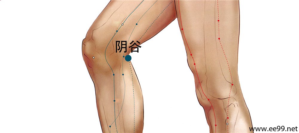 阴谷穴位置图