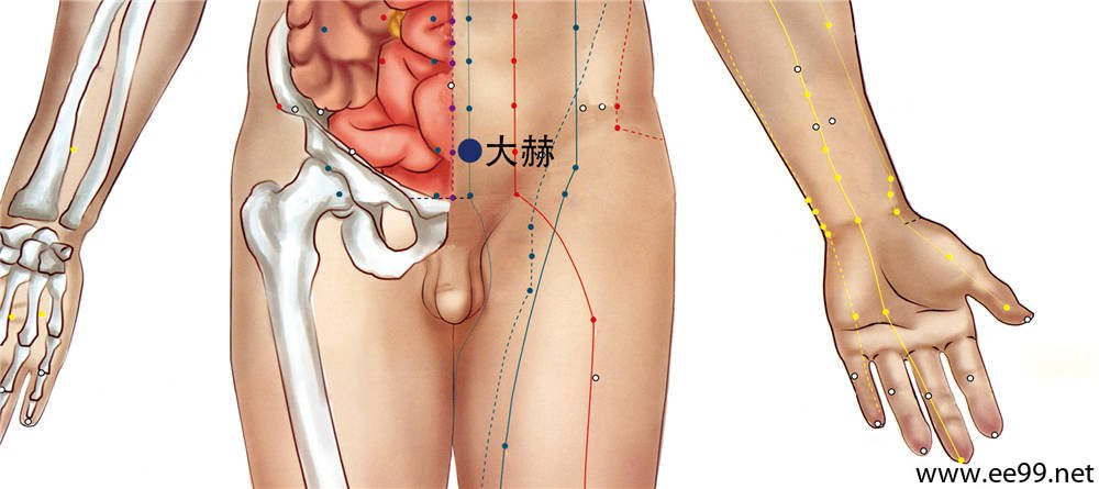 大赫穴位置图