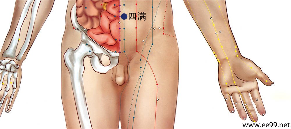 四满穴位置图