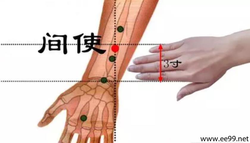 间使穴位置图