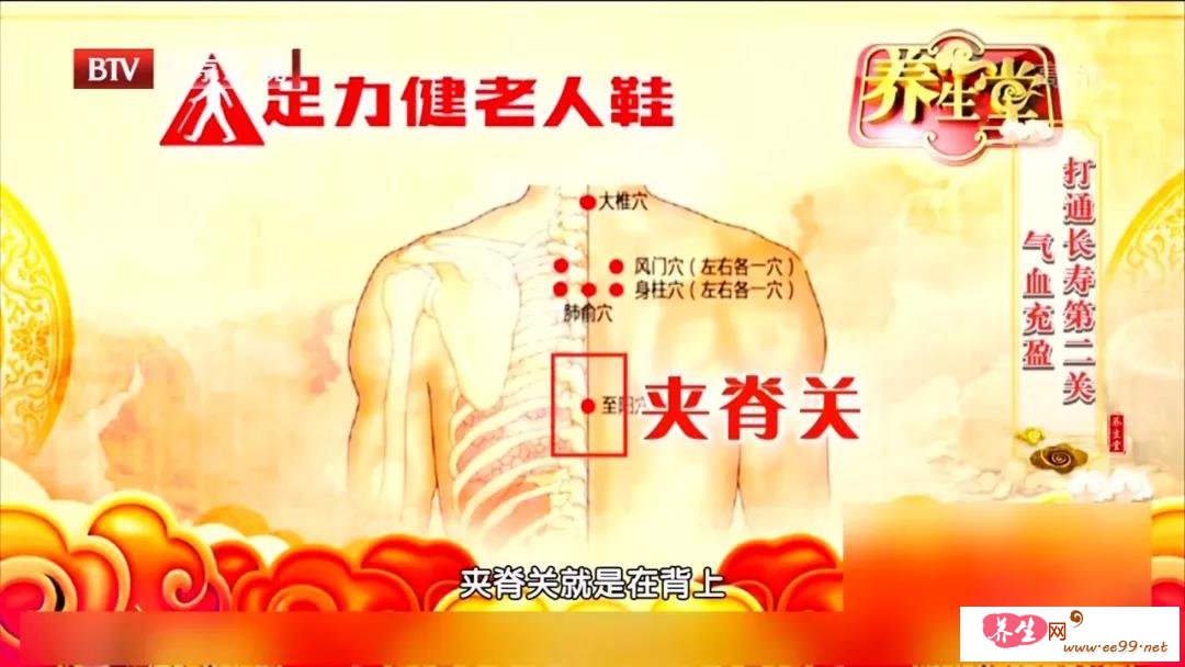 夹脊关