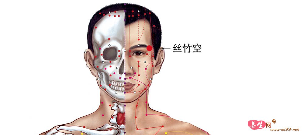 丝竹空穴位置图