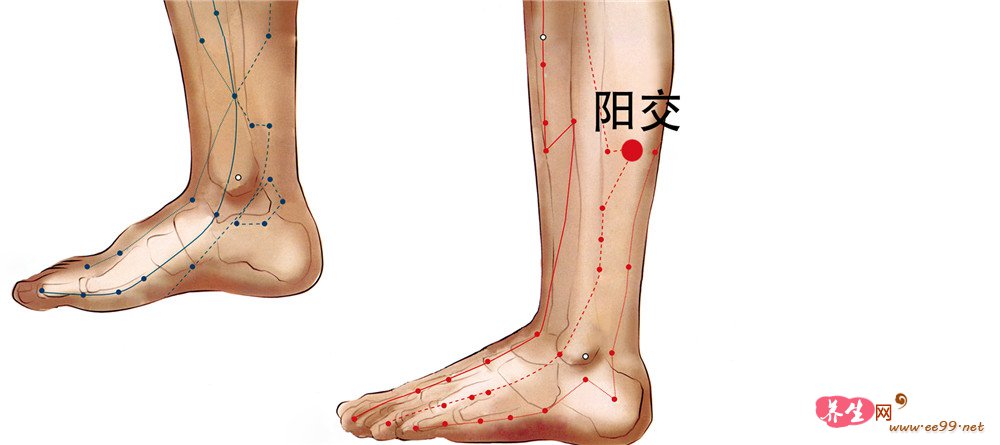 阳交穴位置图