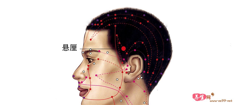 悬厘穴位置图