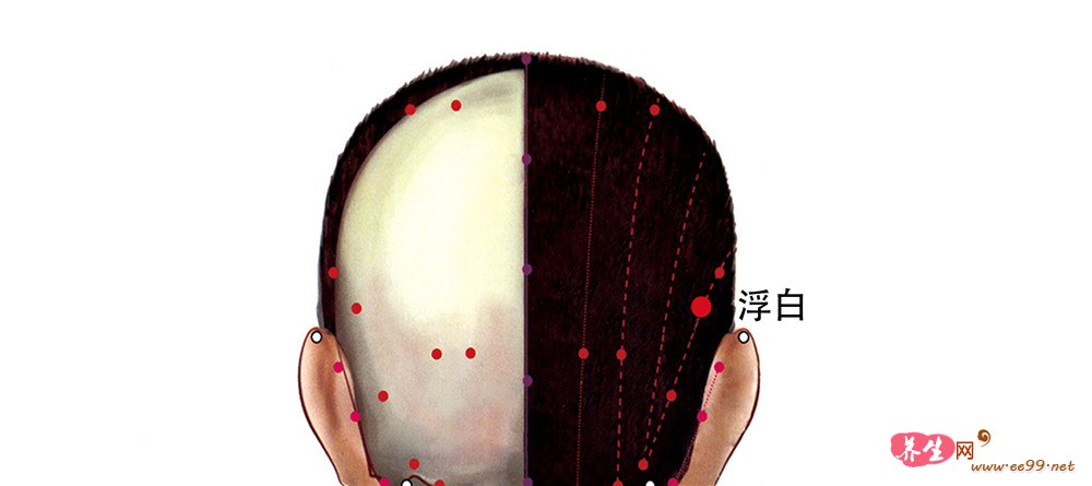 浮白穴位置图