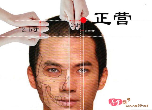 正营穴位置图