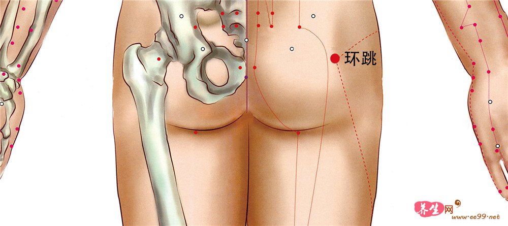 环跳穴位置图