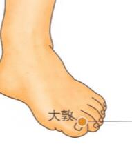 大敦穴位置图