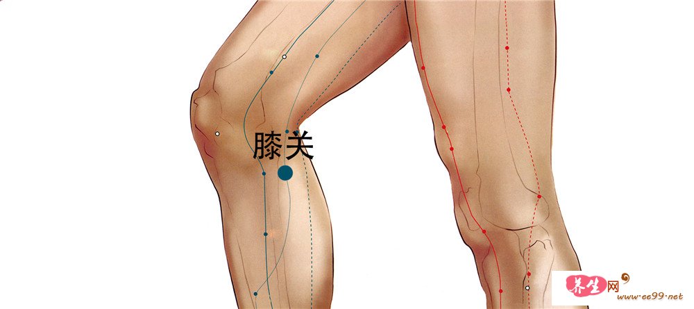 膝关穴位置图