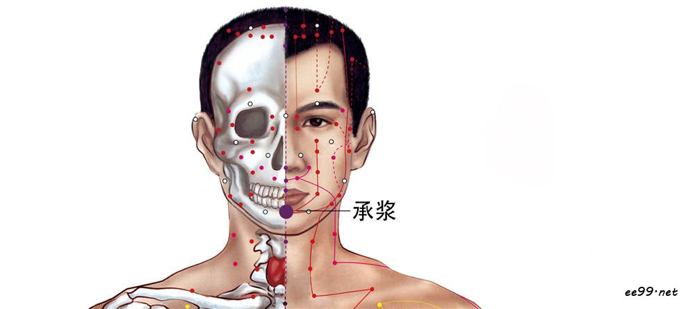 承浆穴位置图