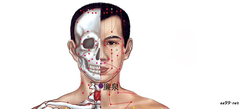 廉泉穴位置图
