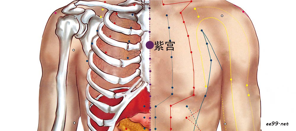 紫宫穴位置图