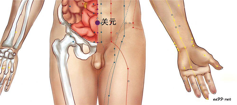 关元穴位置图