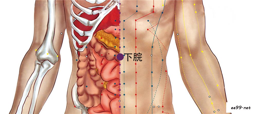 下脘准确位置图图片