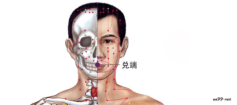 兑端穴位置图
