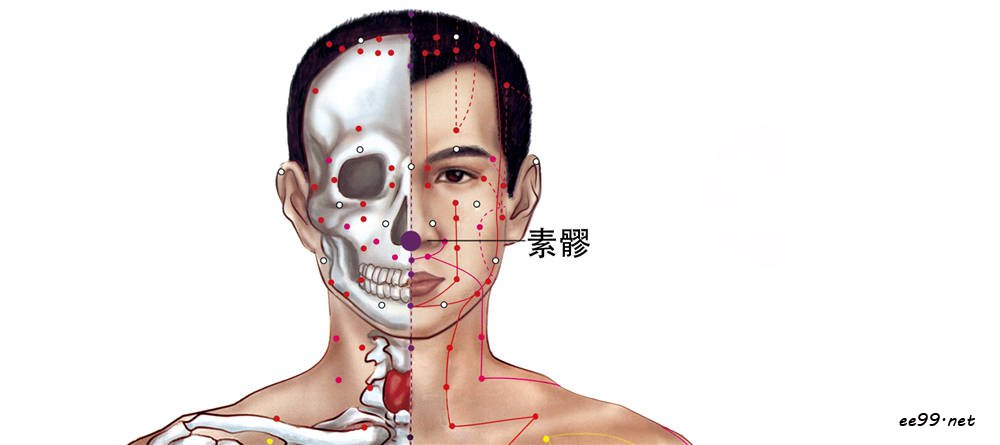 素髎穴位置图