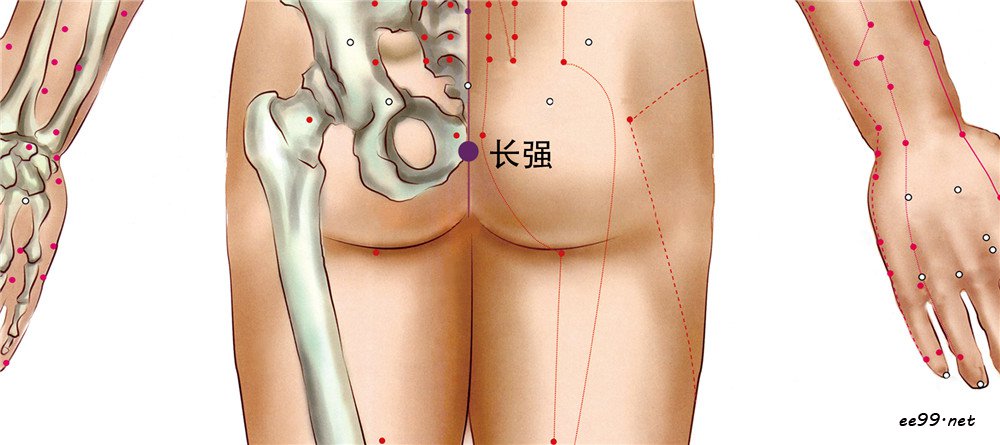 长强穴位置图