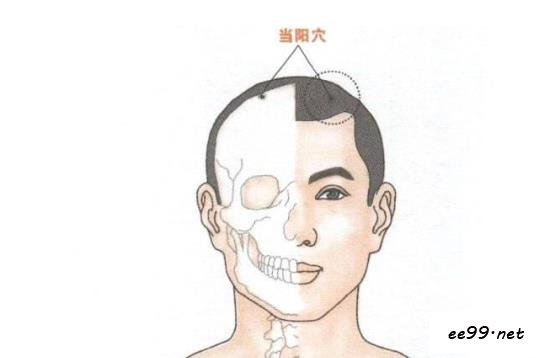 当阳穴位置图