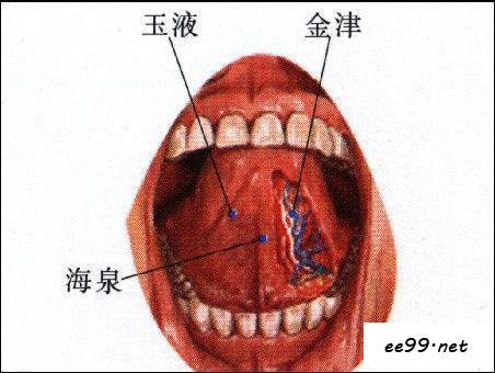 金津穴位置图