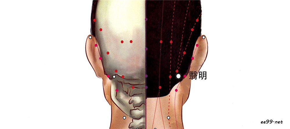 翳明穴位置图