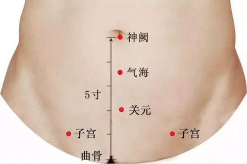 子宫穴位置图