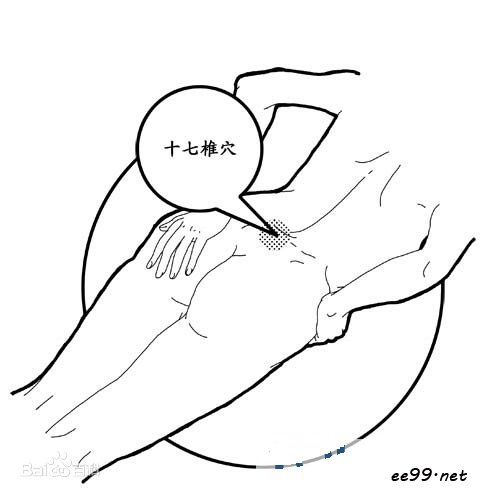 十七椎穴位置图