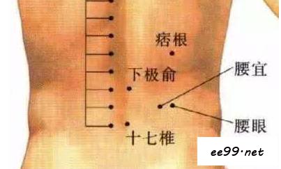 十七椎穴