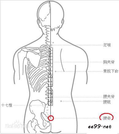 腰奇穴位置图