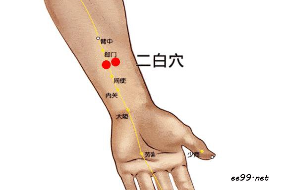 二白穴位置图