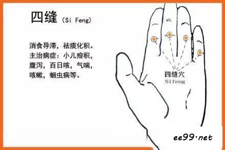 四缝穴位置图