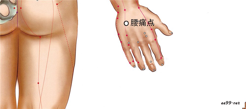 腰痛点穴位置图