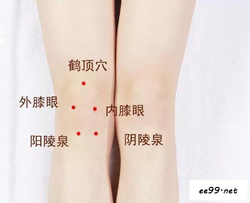 内膝眼穴位置图