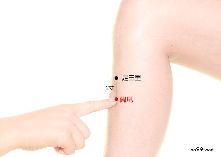 阑尾穴位置图